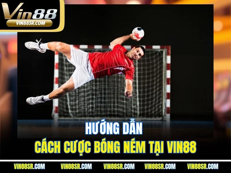 Hướng dẫn cách cược bóng ném tại VIN88